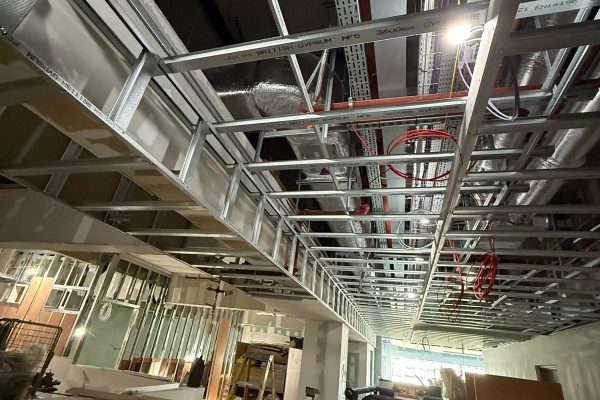MF-ceilings11.jpg