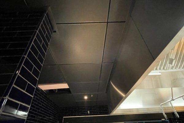 Suspended-Ceilings3.jpg