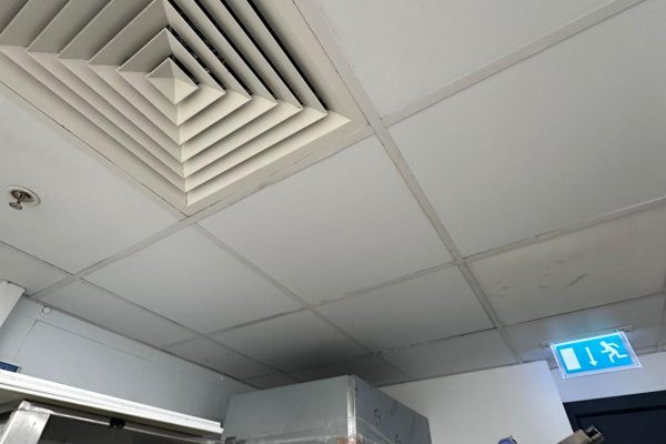 Suspended-Ceilings5.jpg