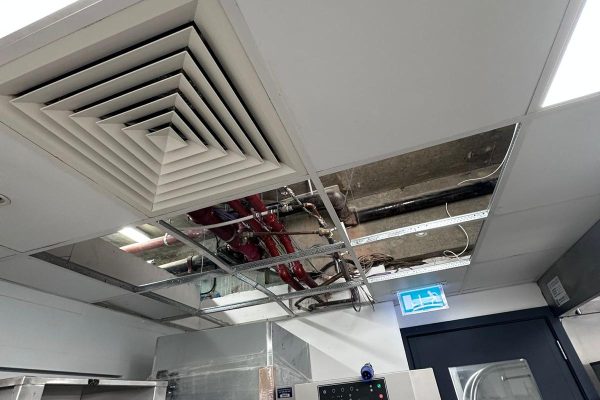 Suspended-Ceilings6.jpg